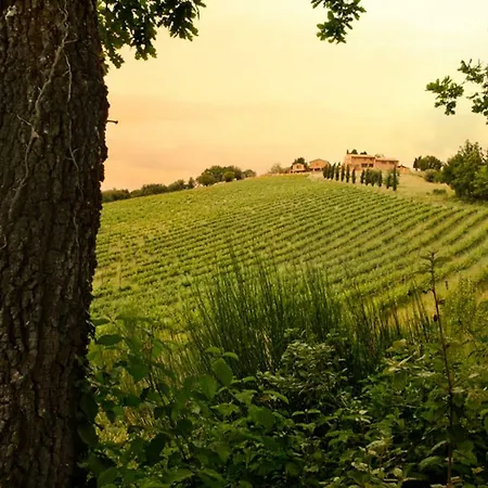Casali Di Casole - Timbers Tuscany